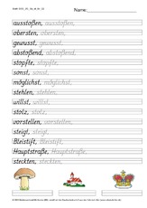 DSS_2S_Bu_st_Nr_02.pdf